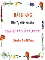 TNXH Nhan biet cay coi va con vat