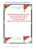 ĐỔI MỚI PHƯƠNG PHÁP DẠY HỌC GIÁO ÁN BUỔI HAI  LỚP 5     TỪ TUẦN 33 ĐẾN TUẦN 35  CHI TIÊT, CỤ THỂ  THEO CHUẨN KIẾN THỨC KĨ NĂNG.