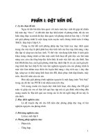 SKKN  PP tìm nghiệm nguyên của PT