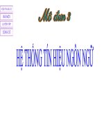 Bài giảng Ngữ dụng học Hệ thống tín hiệu ngôn ngữ