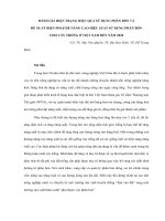 báo cáo khoa học nông nghiệp Đánh giá hiện trạng hiệu quả sử dụng phân bón và đề xuất biện pháp để nâng cao hiệu suất sử dụng phân bón cho cây trồng ở Việt Nam đến năm 2020