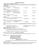 20 đề luyện Tiếng Việt