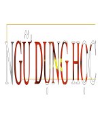 Bài giảng Ngữ dụng học