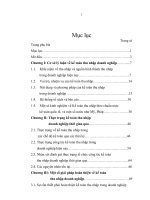 Hoàn thiện kế toán thu nhập doanh nghiệp trong điều kiện vận dụng các chuẩn mực kế toán