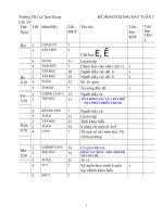 GIÁO ÁN LỚP 2 CHUẨN KIẾN THỨC TUẦN 7