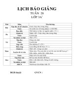 Giáo án lớp 3 năm học 2014 - 2014 Chuẩn KTKN  tuần 28