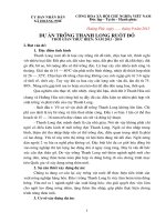 Dự án trồng thanh long ruột đỏ hiệu quả kinh tế cao tại Nông Cống