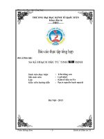 luận văn quản lý nhà nước Thực trạng công tác quản lý hoạt động đầu tư tại Sở Kế hoạch và đầu tư tỉnh Nam Định