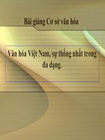 Bài giảng Cơ sở văn hóa Việt Nam Văn hóa Việt Nam, sự thống nhất trong đa dạng