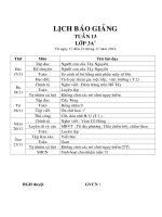 Giáo án lớp 3 năm học 2014 - 2014 Chuẩn KTKN  tuần 13