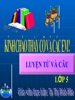 Tuan 29 tiet 57 On tap dau cau