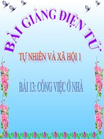 BÀI 13 CÔNG VIỆC Ở NHÀ