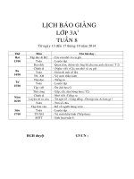Giáo án lớp 3 năm học 2014 - 2014 Chuẩn KTKN  tuần 8