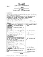 Giáo án lớp 4 CKTKN tuần 34