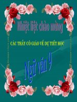 ôn tập về truyện