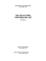 báo cáo khoa học nông nghiệp Tiêu chí xây dựng cánh đồng mẫu lớn