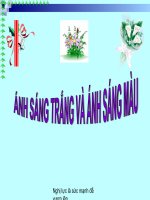 Anh sang trang va anh sang mau(Rat hay)