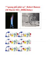 Quang phổ phát xạ_và Robert Bunsen - người Đức