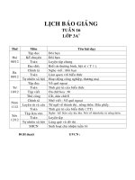 Giáo án lớp 3 năm học 2014 - 2014 Chuẩn KTKN  tuần 16