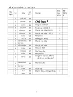 GIÁO ÁN LỚP 2 CHUẨN KIẾN THỨC TUẦN 19