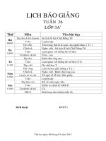 Giáo án lớp 3 năm học 2014 - 2014 Chuẩn KTKN  tuần 26