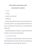 PHÂN TÍCH MÃ GIÁM SINH MUA KIỀU