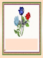 Thi Nghiem Ao phan dien