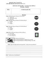 Đề kiểm tra các chuyên hiệu RLĐV tiểu học (Diện KT)