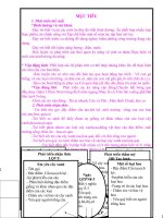 Chude the gioi thu vat