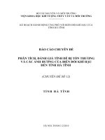 BÁO CÁO CHUYÊN ĐỀ PHÂN TÍCH, ĐÁNH GIÁ TÍNH DỄ BỊ TỔN THƯƠNG VÀ CÁC ẢNH HƯỞNG CỦA BIẾN ĐỔI KHÍ HẬU ĐẾN TỈNH HÀ TĨNH