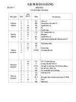 Giáo án lớp 2 năm học 2014 - 2015 Tuần 7