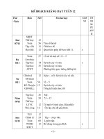 GIÁO ÁN LỚP 2 CHUẨN KIẾN THỨC TUẦN 12