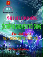 Sinh 8: Bài tiết nước tiểu