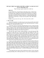 báo cáo khoa học nông nghiệp Kết quả chọn tạo giống Ngô nếp lai phục vụ cho sản xuất ở các tỉnh phía Nam