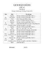Giáo án lớp 3 năm học 2014 - 2014 Chuẩn KTKN  tuần 9