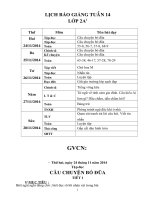 Giáo án lớp 2 năm học 2014 - 2015  tuần 14