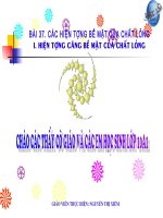 Bài 37. Lực căng bề mặt của chất lỏng