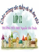 Chính tả Hồ Gươm