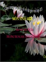 Hô hấp và cơ quan hô hấp