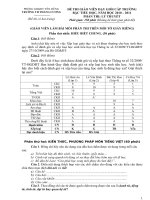 Đề thi giáo viên giỏi cấp trường năm học 2010-2011