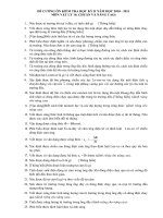 ĐỀ CƯƠNG ÔN TẬP mon Ly 11-HKII-NH 10-11