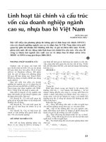 Linh hoạt tài chính và cấu trúc vốn của doanh nghiệp ngành cao su, nhựa bao bì Việt Nam