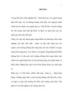 THIẾT KẾ HỆ THỐNG XỬ LÝ KHÍ THẢI LÒ HƠI THUỘC CÔNG TY CỔ PHẦN CAO SU ĐÀ NẴNG