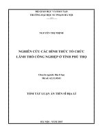 Nghiên cứu các hình thức tổ chức lãnh thổ công nghiệp ở tỉnh Phú Thọ