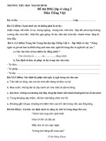 Đề thi HSG Tiếng Việt 4. hay