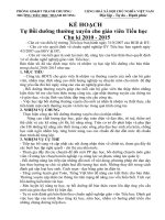 Kế hoạch tự bồi dưỡng chuyên đề tiểu học