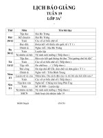 Giáo án lớp 3 năm học 2014 - 2014 Chuẩn KTKN  tuần 19