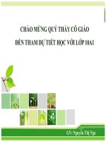 bài giảng sinh học lớp 10 đề bài hô hấp tế bào