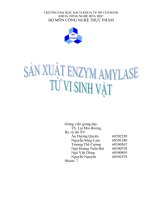sản xuất enzyme amylase từ vi sinh vật