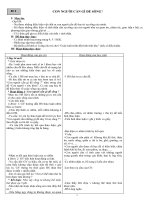 Giáo án môn Khoa học Lớp 4 (CHI TIẾT)